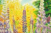 Bild: Blumen Ginster Heide