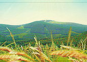 Bild: Frühsommerwurmberg