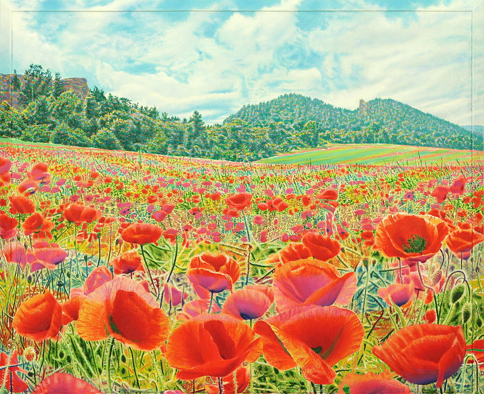 Bild: 01 - Teufelsmauermohn - Landschaft 2013 - 2014