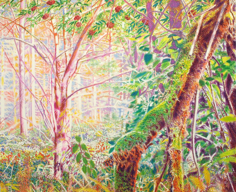 Bild: 03 - Ebereschenurwald - Landschaft 2011 - 2012